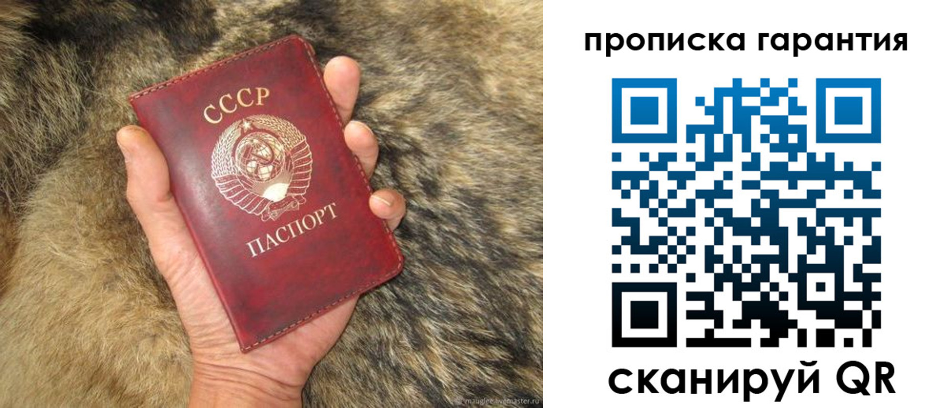 временная регистрация гарантия в Вологодской области
